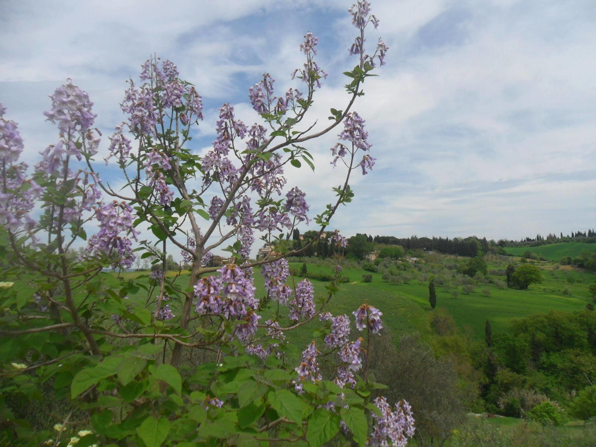 Fullino Nero Rta - Residenza Turistico Alberghiera Siena Buitenkant foto